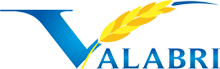 Gestiune Valabri logo